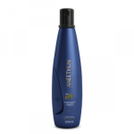 Aneethun Line A Trio: Shampoo + Mask + Silicone