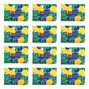 Phebo Sicilian Lemon Soap Bar 100g Kit 12 Units