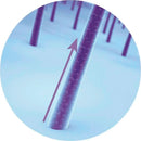 Eudora Siàge Combo Accelerates Growth: Shampoo 250ml + Conditioner 200ml + Hair Mask 250g