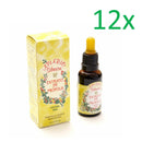 Apiario Silvestre - Brazilian Green Propolis Extract 30ml/1.01 fl.oz.