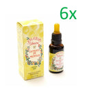 Apiario Silvestre - Brazilian Green Propolis Extract 30ml/1.01 fl.oz.