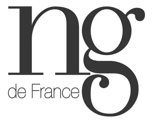NG de France Fast Liss Vegan Realignment Kit: Fast Liss | Intense Shampoo 2X1000ml | Thermo Repair Spray